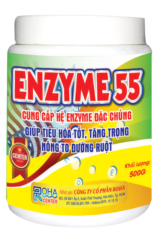 ENZYME 55